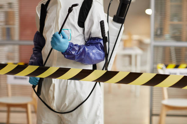 Professional Sewage Cleanup technician working in Holstein, IA
